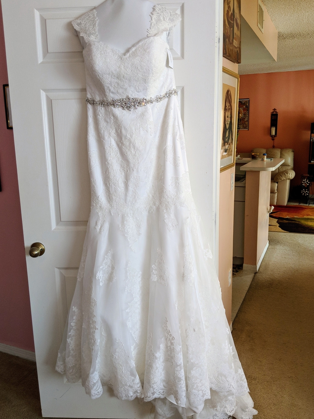 David's Bridal Ivory Lace Mermaid Wedding Dress with Beaded Belt